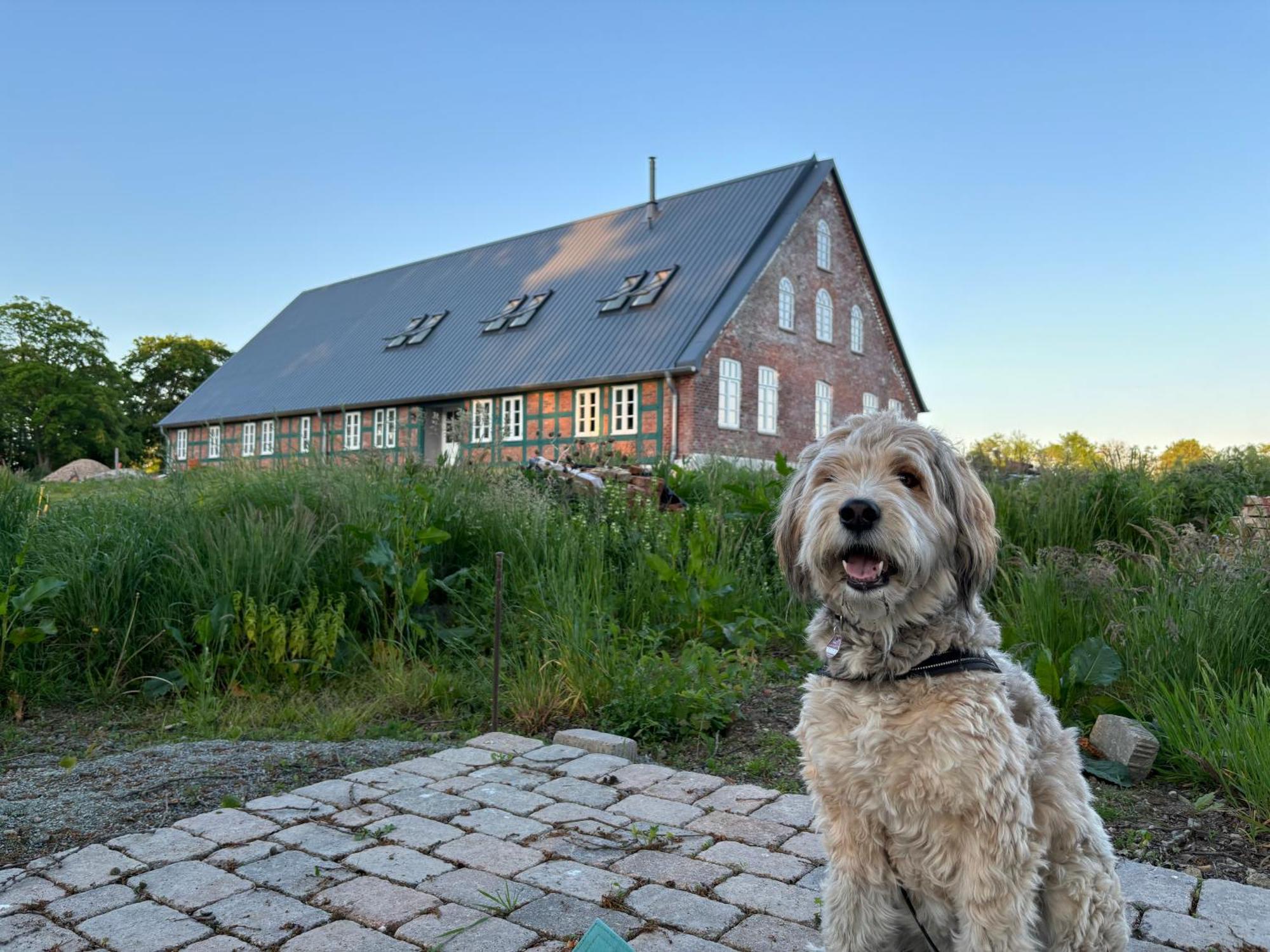 Niedersaechsisches Hallenhaus Im Modernen Gewand Lilienthal  Exteriör bild